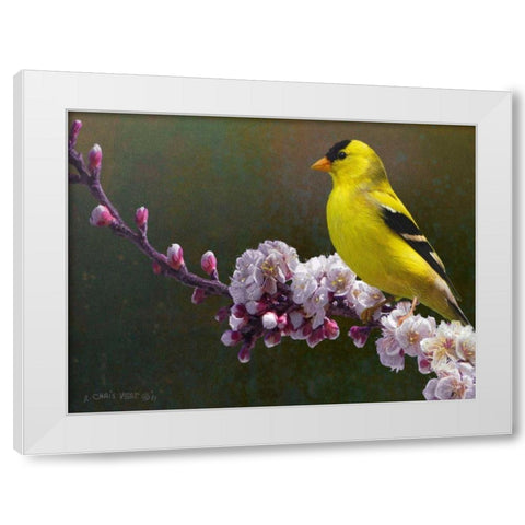 Goldfinch Flowers White Modern Wood Framed Art Print by Vest, Chris