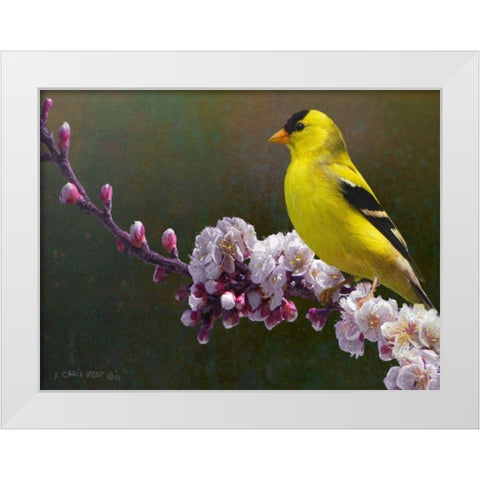 Goldfinch Flowers White Modern Wood Framed Art Print by Vest, Chris