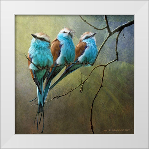 Rollers White Modern Wood Framed Art Print by Vest, Chris