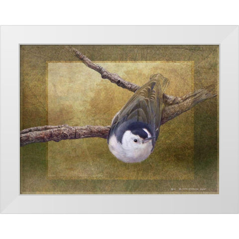 Nuthatch White Modern Wood Framed Art Print by Vest, Chris