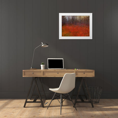 Red Grass I White Modern Wood Framed Art Print by Vest, Chris