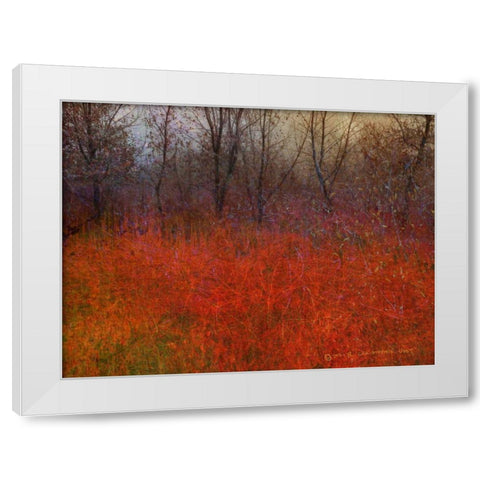 Red Grass I White Modern Wood Framed Art Print by Vest, Chris