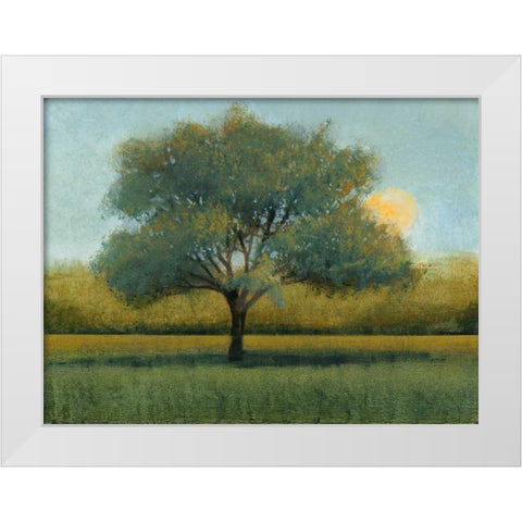 Sunrise I White Modern Wood Framed Art Print by OToole, Tim