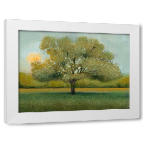 Sunrise II White Modern Wood Framed Art Print by OToole, Tim