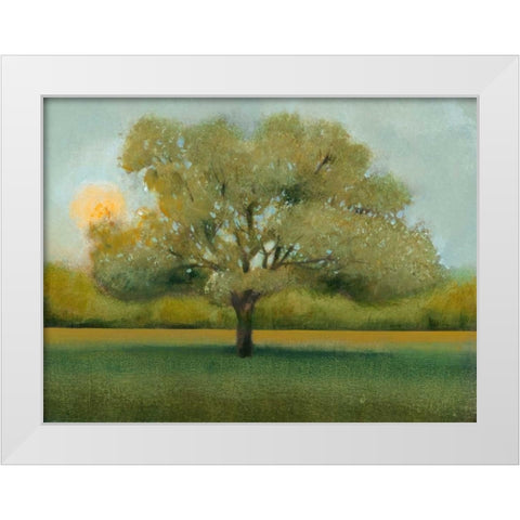 Sunrise II White Modern Wood Framed Art Print by OToole, Tim