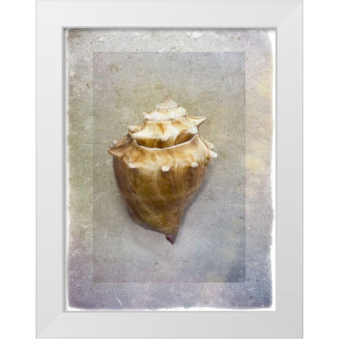 Sheltered I White Modern Wood Framed Art Print by Hartson-Weddle, Ryan