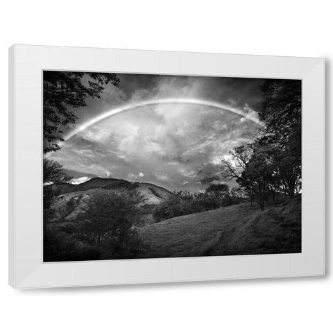 Green Field With Rainbow White Modern Wood Framed Art Print by Nalbandian, Nish