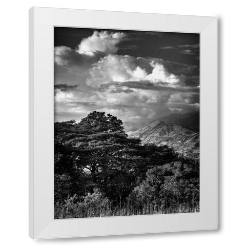 Mountains and Clouds White Modern Wood Framed Art Print by Nalbandian, Nish