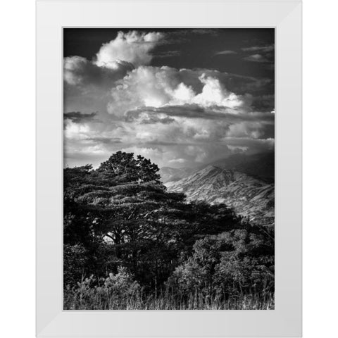 Mountains and Clouds White Modern Wood Framed Art Print by Nalbandian, Nish