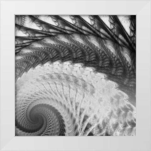 Helix I White Modern Wood Framed Art Print by Burghardt, James