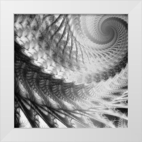 Helix II White Modern Wood Framed Art Print by Burghardt, James