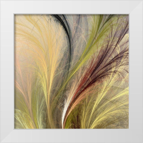 Fountain Grass I White Modern Wood Framed Art Print by Burghardt, James