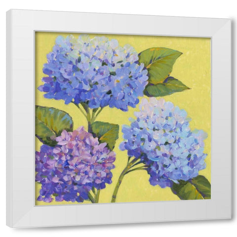 Spring Hydrangeas II White Modern Wood Framed Art Print by OToole, Tim