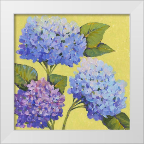 Spring Hydrangeas II White Modern Wood Framed Art Print by OToole, Tim