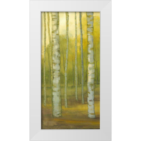 Sunny Birch Grove I White Modern Wood Framed Art Print by Joy, Julie