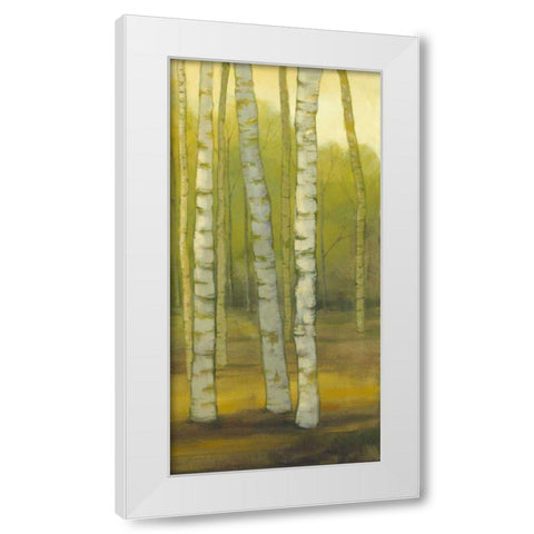 Sunny Birch Grove II White Modern Wood Framed Art Print by Joy, Julie