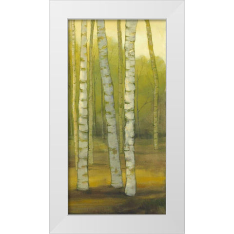 Sunny Birch Grove II White Modern Wood Framed Art Print by Joy, Julie