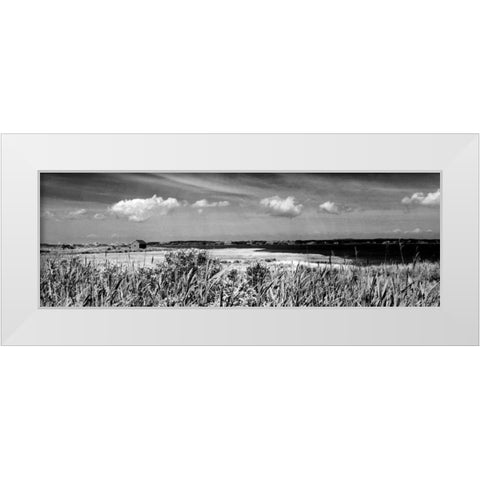 Shore Panorama III White Modern Wood Framed Art Print by Pica, Jeff