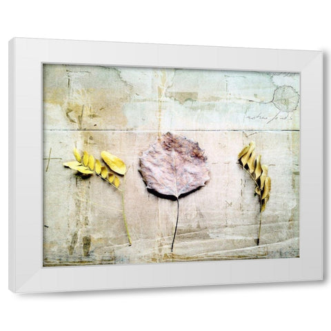 Herbarium III White Modern Wood Framed Art Print by Blixt, Ingrid