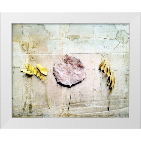 Herbarium III White Modern Wood Framed Art Print by Blixt, Ingrid