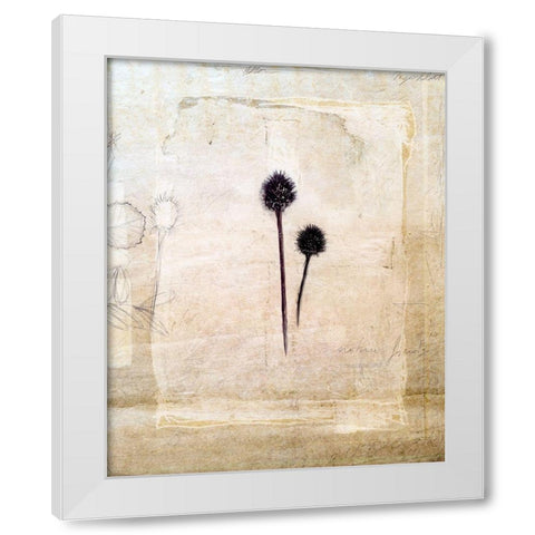 Herbarium IV White Modern Wood Framed Art Print by Blixt, Ingrid