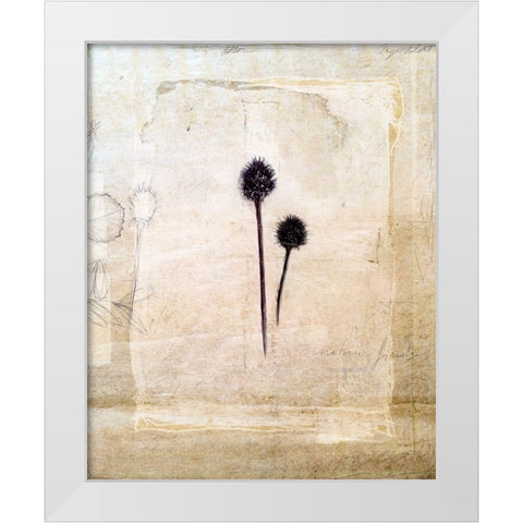 Herbarium IV White Modern Wood Framed Art Print by Blixt, Ingrid