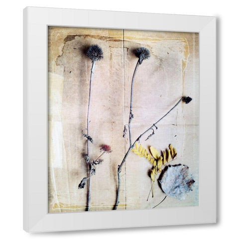 Herbarium VII White Modern Wood Framed Art Print by Blixt, Ingrid