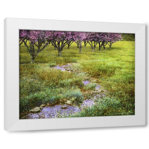 Summer Path White Modern Wood Framed Art Print by Vest, Chris