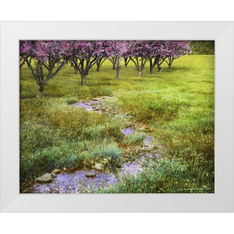 Summer Path White Modern Wood Framed Art Print by Vest, Chris