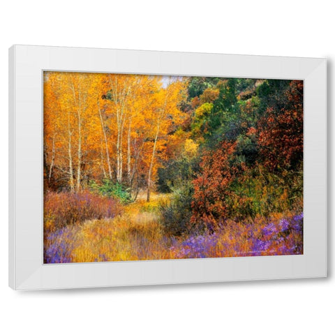 Lost Canyon Larkspurs I White Modern Wood Framed Art Print by Vest, Chris