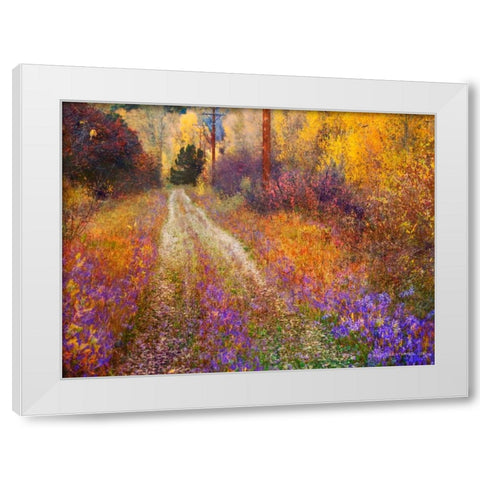 Lost Canyon Larkspurs II White Modern Wood Framed Art Print by Vest, Chris