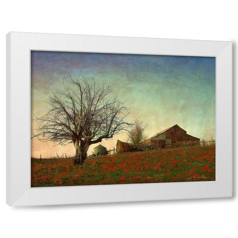 Barn on the Hill White Modern Wood Framed Art Print by Vest, Chris