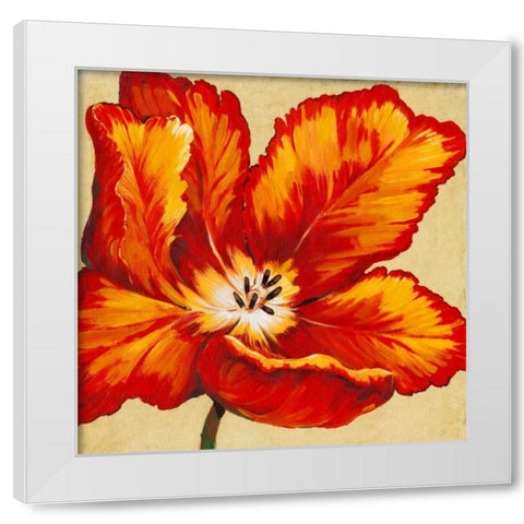 Parrot Tulip I White Modern Wood Framed Art Print by OToole, Tim