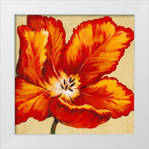 Parrot Tulip I White Modern Wood Framed Art Print by OToole, Tim