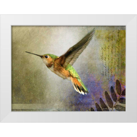 Hummer Flight White Modern Wood Framed Art Print by Vest, Chris