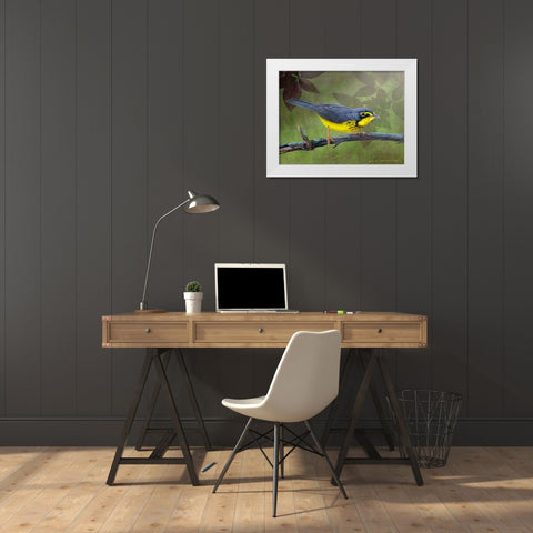 Canada Warbler White Modern Wood Framed Art Print by Vest, Chris
