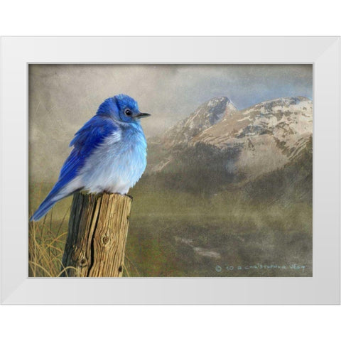 Mountain Blue Bird White Modern Wood Framed Art Print by Vest, Chris