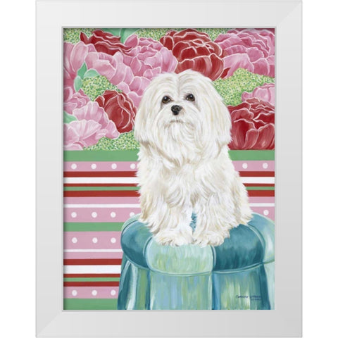 Della Rose Maltese White Modern Wood Framed Art Print by Vitaletti, Carolee