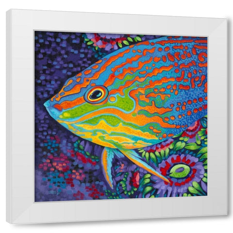 Brilliant Tropical Fish I White Modern Wood Framed Art Print by Vitaletti, Carolee