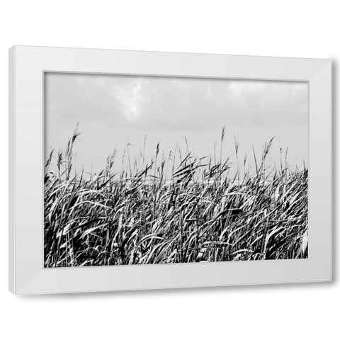 Dune Triptych I White Modern Wood Framed Art Print by Pica, Jeff