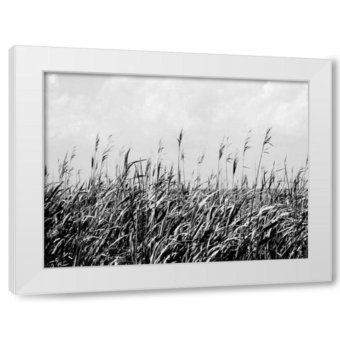 Dune Triptych III White Modern Wood Framed Art Print by Pica, Jeff