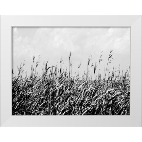 Dune Triptych III White Modern Wood Framed Art Print by Pica, Jeff