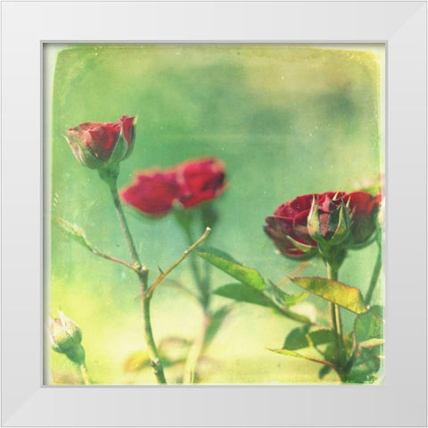 Waiting on Purple II White Modern Wood Framed Art Print by Jorgensen, Jennifer