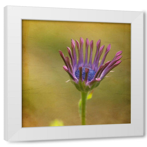Waiting on Purple III White Modern Wood Framed Art Print by Jorgensen, Jennifer