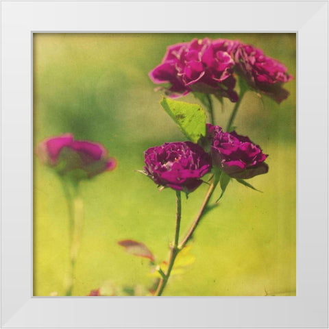 Waiting on Purple IV White Modern Wood Framed Art Print by Jorgensen, Jennifer