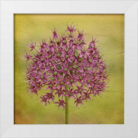 Waiting on Purple V White Modern Wood Framed Art Print by Jorgensen, Jennifer