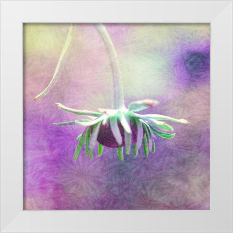 Waiting on Purple VI White Modern Wood Framed Art Print by Jorgensen, Jennifer