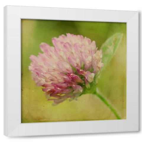 Waiting on Purple VII White Modern Wood Framed Art Print by Jorgensen, Jennifer