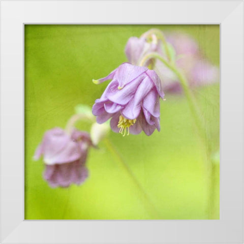 Waiting on Purple X White Modern Wood Framed Art Print by Jorgensen, Jennifer