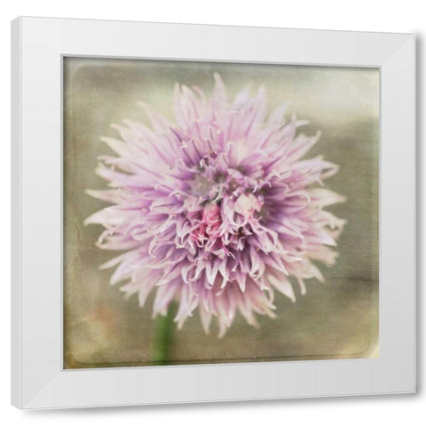 Waiting on Purple XII White Modern Wood Framed Art Print by Jorgensen, Jennifer
